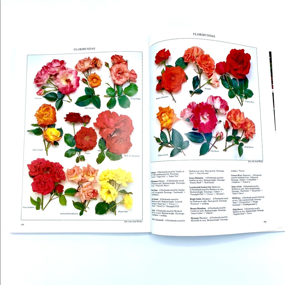 Roses - Random House Book 1400 Roses in Full Clr